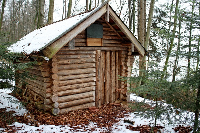 Bouw samen een boomhut en geef je kinderen een tijd om nooit te vergeten